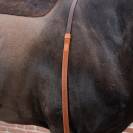 R&ecirc;nes exercice avec D pour enr&ecirc;nement - PETITPAS - Inox