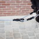 Enr&ecirc;nement irlandais - PETITPAS - Innovation pour chevaux