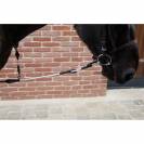 Enr&ecirc;nement irlandais - PETITPAS - Innovation pour chevaux