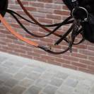 Martingale Howlett cuir Petitpas