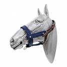 Licol robuste pour le débourrage des poulains