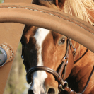 Bride sans mors Side pull Partners