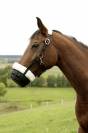 Muselière panier confortable - Pour cheval - Taille COB