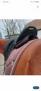 selle de dressage Mendia de chez Devoucoux