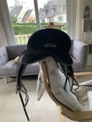 Wintec dressage Isabelle Werth Hart 17,5