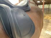 Selle de dressage Prestige Modena double veau