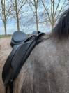 Selle dressage Thorowgood