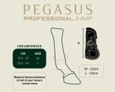 Guêtres antérieurs Gatusos Pegasus