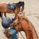 Amortisseur de dos ThinLine Trifecta avec cales - 95% d'absorption des chocs