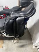 Selle voltaire dising