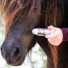 Power Phaser Leovet - Roll on contre les taons