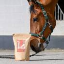 Mash pour cheval Natural'Mash - Natural'Innov