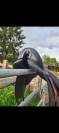 Selle devoucoux 17" en carbone