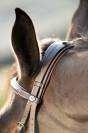 Bridon  HFI Technical cuir surpiqué