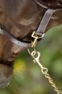 Licol de pansage HFI marron