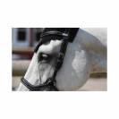 Bridon New York - Collection One - Jump'in