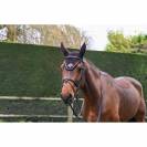 Bonnet cheval Jump in