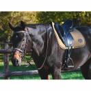 Bridon Carat - Collection One Premium - Jump'in