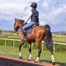 Pantalon d'équitation Junior fille Luna - Jump'in