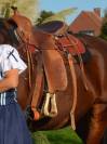 selle western