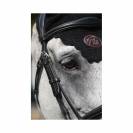 Bridon Bruxelles - Collection One - Jump'in