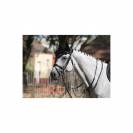 Bridon Bruxelles - Collection One - Jump'in