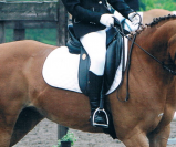 Selle Dressage mono-quartier, 17 pouces