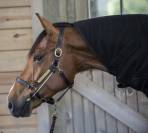 ThinLine Busy Buddy - Aide votre cheval à se relaxer