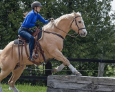 Tapis de selle Western confort en laine tissée Thiline