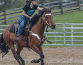 Tapis de selle Western confort en laine tissée Thiline