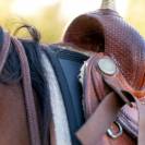 Tapis de selle Western Perfect Fit Thinline