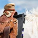 Tapis de selle Western Perfect Fit Thinline