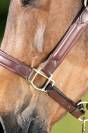 Licol cuir Wave HFI
