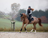 Tapis de selle hfi velvet - HFI - tissu velours