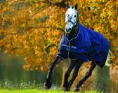 Couverture extérieur Amigo Bravo 12 Turnout Heavy - Horseware - 400g