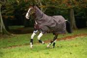Couverture Amigo Bravo 12 plus 100g - Horseware - extérieur