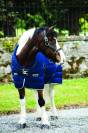 Couverture d'&eacute;curie Rambo cosy stable - Horseware - 400g