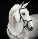 Bridon Rambo Micklem Competition - Horseware - confort optimal