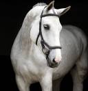 Bridon Micklem Deluxe Comp&eacute;tition - Horseware - confort optimal