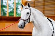 Bridon Micklem 2 Multi-brides - Horseware - Briderie