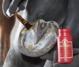 Baume Kevin Bacon's hoof solution 150 mg - Naturel