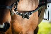Ring reins - HFI