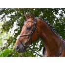 Bridon Monday muserolle combinée - Collection Week - Jump in