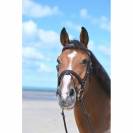 Bridon Tuesday muserolle combinée - Collection Week - Jump in