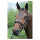 Bridon Wednesday muserolle combinée - Collection Week - Jump'in