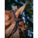 Bridon Wednesday muserolle combinée - Collection Week - Jump'in