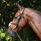 Bridon Wednesday muserolle combinée - Collection Week - Jump'in