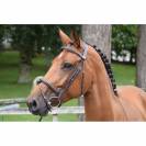 Bridon Thursday muserolle combinée - Collection Week - Jump in