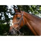 Bridon Thursday muserolle combinée - Collection Week - Jump in