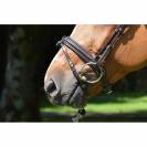 Bridon Friday muserolle combinée - Collection week - Jump in